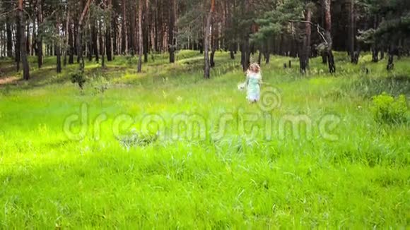 女孩依靠大自然美丽的女孩走在田野上视频的预览图