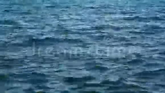 海水表面视频的预览图