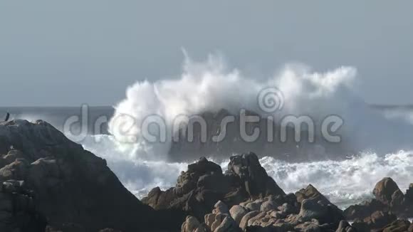 美国加利福尼亚州威斯特海岸大浪视频的预览图