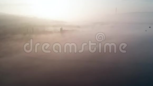 清晨雾中的乡村丰收田视频的预览图