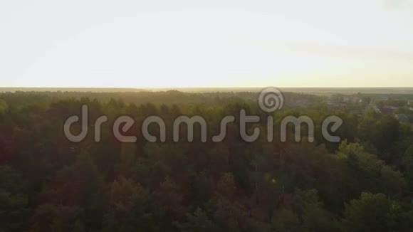 4空中镜头日出时飞越森林视频的预览图