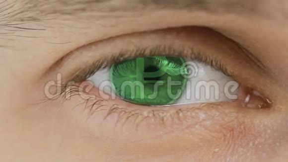 用电脑文字覆盖眼睛特写放大中心卢布的标志视频的预览图
