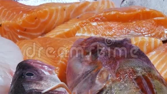 大型精选不同鲜鱼的柜台上的鱼市冰红鲜市场海鲜视频的预览图