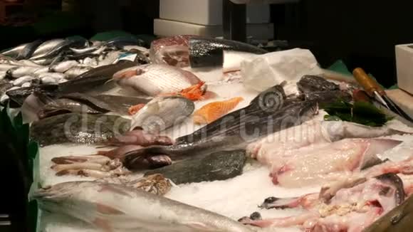 大型精选不同鲜鱼的柜台上的鱼市冰红鲜市场海鲜视频的预览图