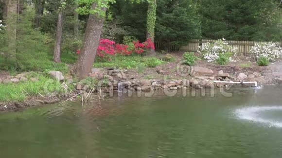 喷泉在公园与盛开的杜鹃花和白色花在诺卡卢拉瀑布公园在阿拉巴马美国视频的预览图