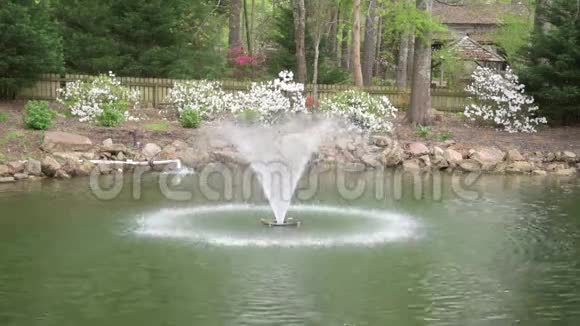喷泉在公园与盛开的杜鹃花和白色花在诺卡卢拉瀑布公园在阿拉巴马美国视频的预览图