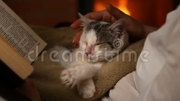 可爱的救援小猫在壁炉旁的新主人膝上放松视频的预览图