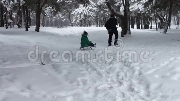 爷爷把他的小孙子在雪冬林的雪橇上视频的预览图