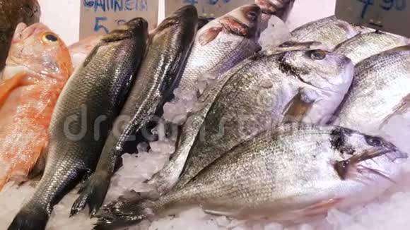大型精选不同鲜鱼的柜台上的鱼市冰新鲜市场的海鲜视频的预览图