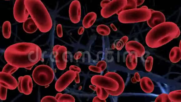 红细胞和动脉视频的预览图