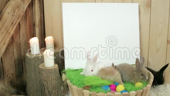 木制树桩上有蜡烛文字用白色背景绿色地板上爬有复活节兔子视频的预览图