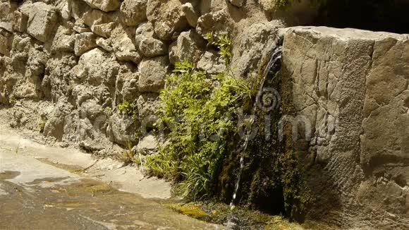 法国塞文尼斯圣吉勒姆沙漠的历史城墙和纯净水视频的预览图