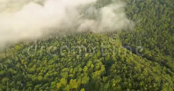 在喀尔巴阡山森林的雾蒙蒙的早晨乌克兰拍摄的空中景色视频的预览图