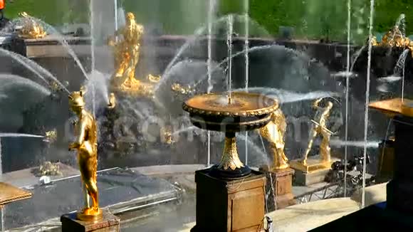 彼得霍夫喷泉视频的预览图