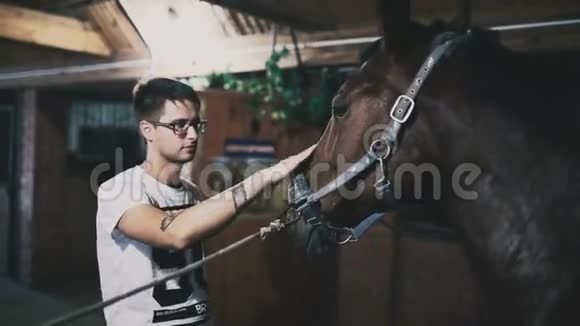 男人在马厩里抚摸一匹棕色马的头视频的预览图