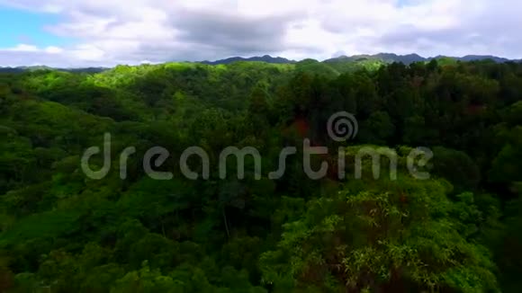 令人惊叹的4k鸟瞰常绿密林山顶有树木视频的预览图