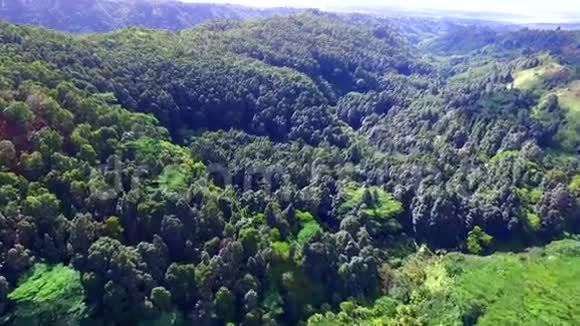 茂密的山林中令人惊叹的绿树4k鸟瞰自然景观视频的预览图