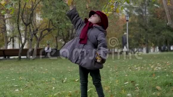 小女孩在公园里收集秋天的树叶视频的预览图