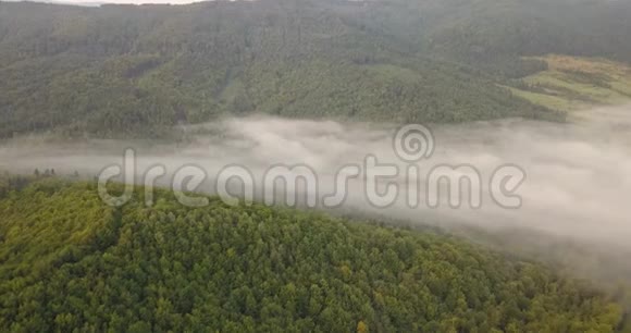 在喀尔巴阡山森林的雾蒙蒙的早晨乌克兰拍摄的空中景色视频的预览图