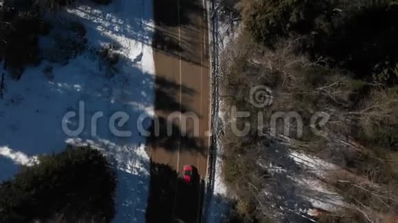 阳光明媚的一天一辆不知名的越野车在针叶林中沿着沥青路行驶视频的预览图