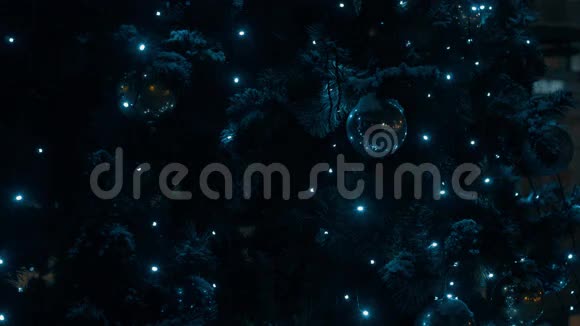 夜晚的圣诞树上闪烁着花环视频的预览图