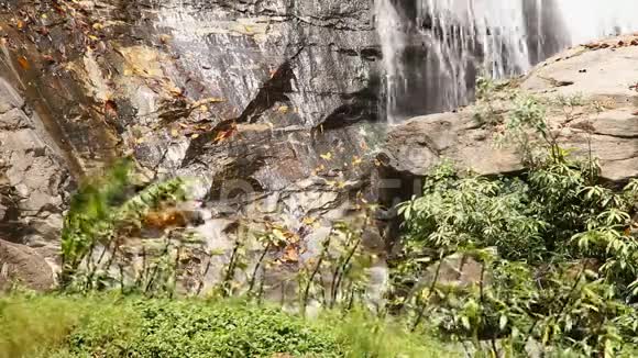 叶在阳光下移动喷着瓦奇拉坦瀑布多伊因塔农山清迈泰国视频的预览图