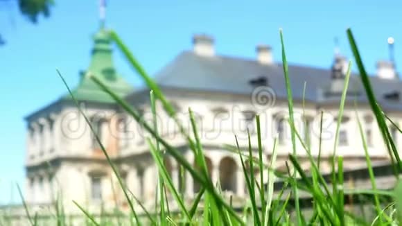 城堡自然花卉建筑视频的预览图