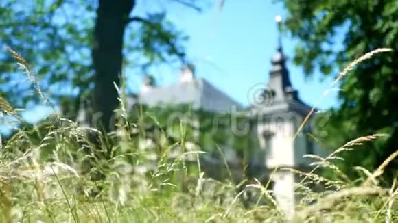 城堡自然花卉建筑视频的预览图