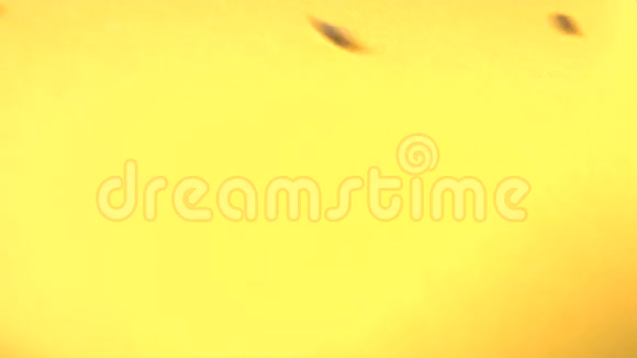 黄色背景上的葵花籽慢动作特写镜头水平平底锅2射击视频的预览图