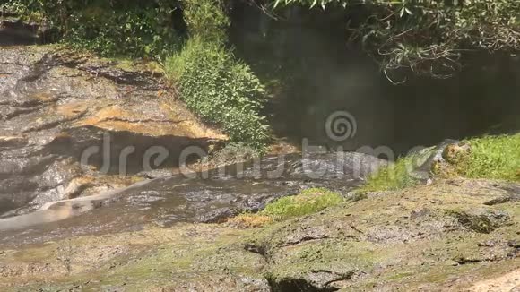 在Vachiratarn瀑布的阳光下活动的叶子泰国清迈山视频的预览图