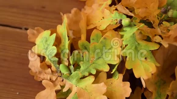 木桌上的秋色橡树叶视频的预览图