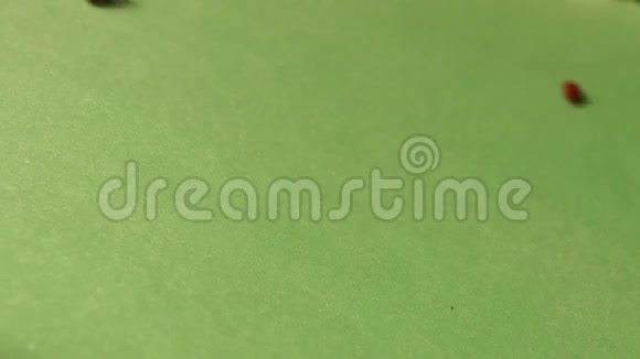 绿色背景下的棕色豆子慢动作特写镜头水平平底锅3射击视频的预览图