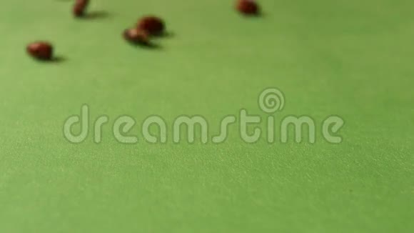 绿色背景下的棕色豆子慢动作特写镜头2射击视频的预览图