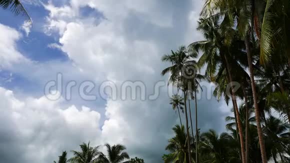 棕榈树上的云彩时间流逝视频的预览图