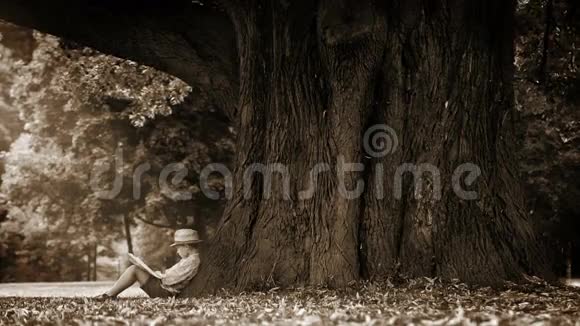 塞皮亚一个男孩坐在一棵大树脚下看书的录像视频的预览图