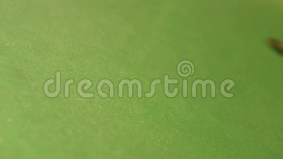 绿色背景下的棕色豆子慢动作特写镜头水平平底锅2射击视频的预览图