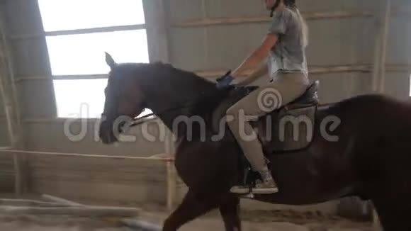 一个女孩在竞技场训练一匹马骑马赛马跳跃视频的预览图