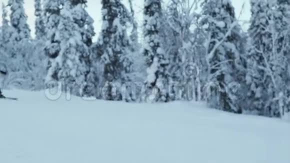 北极坡的高山滑雪者视频的预览图