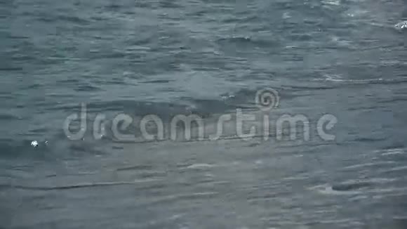 小波浪在海滩上滚动视频的预览图