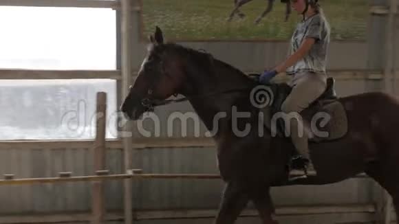 一个女孩在竞技场训练一匹马骑马赛马跳跃视频的预览图