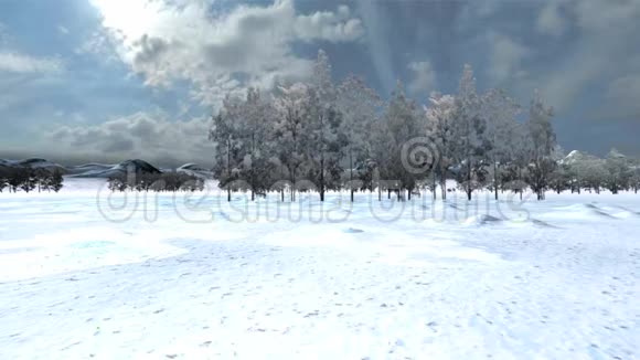 圣诞老人的雪橇雪景中穿行视频的预览图
