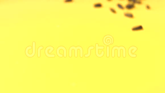 黄色背景上的葵花籽慢动作特写镜头垂直平底锅2射击视频的预览图