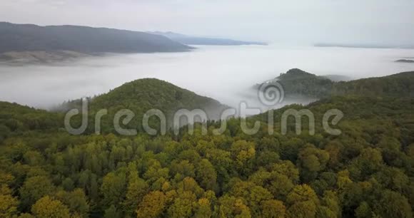 在喀尔巴阡山森林的雾蒙蒙的早晨的空中景色视频的预览图