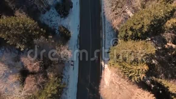 阳光明媚的一天一辆不知名的越野车在针叶林中沿着沥青路行驶视频的预览图