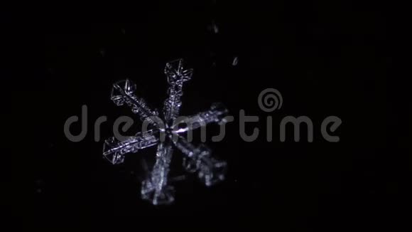 一滴水在黑暗中变成美丽的雪花视频的预览图