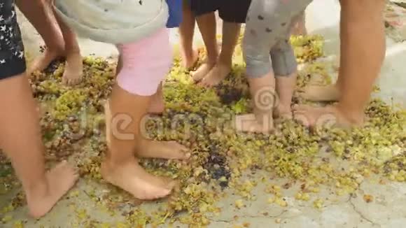 学校的孩子们通过踩在葡萄上学习如何酿酒视频的预览图