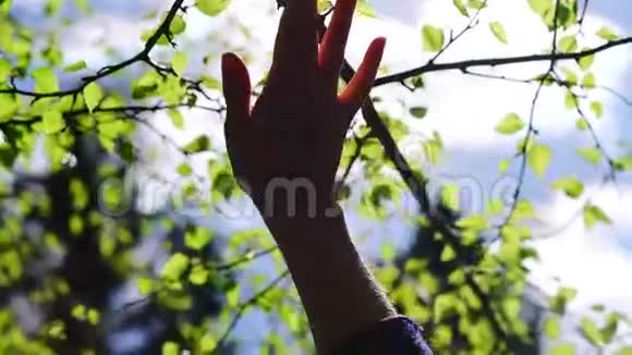 人与自然双手对抗春天的自然明亮的太阳和晴朗的天空视频的预览图