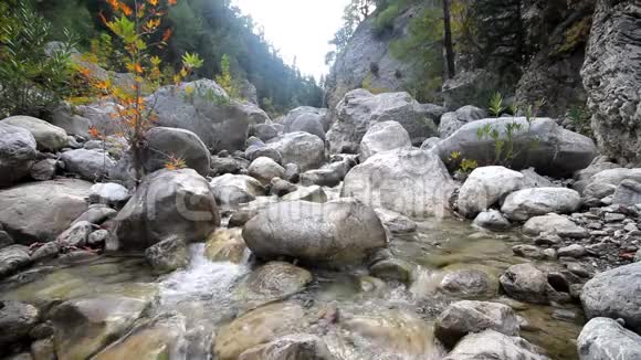 潺潺小溪山涧低水期的溪水视频的预览图