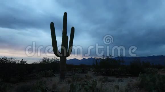 日落时分索诺兰沙漠4超高清时间推移视频的预览图