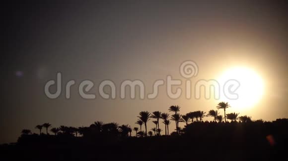 海边的日落和棕榈树视频的预览图